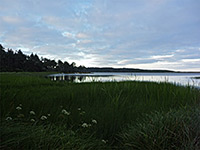 Floras Lake