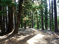 Trails