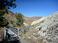 Bridge on the trail