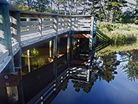 Boardwalk along the Lagoon Trail