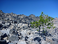 Newberry National Volcanic Monument