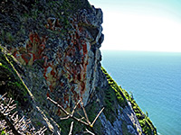 photograph