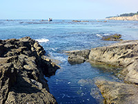 photograph