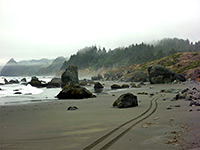 Track on the beach