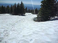 Snow on the Watchman Trail