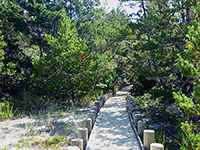 Boardwalk path to the beach