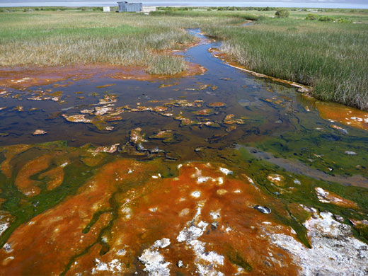 Alvord Hot Springs