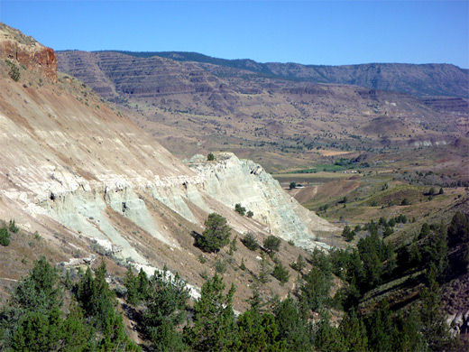 Partly wooded ravine on the north side of Blue Basin