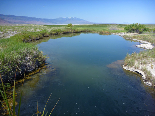 Borax Hot Springs