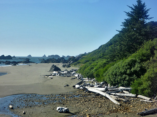 Beach at Chetco Point