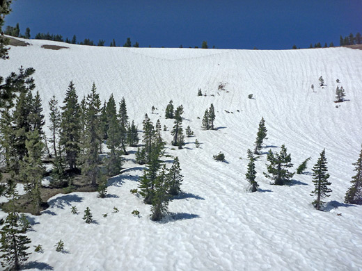 Snowy hillside