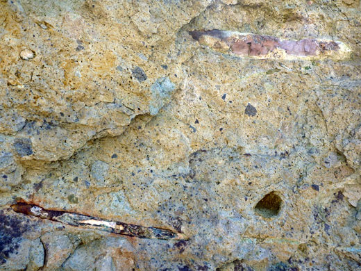 Fossilized sticks