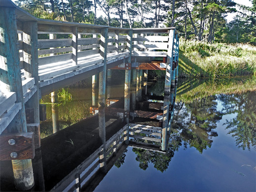 Boardwalk along the Lagoon Trail