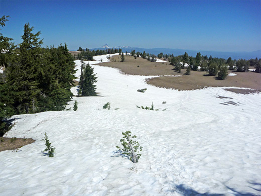 Near the trailhead