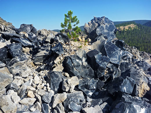 Newberry National Volcanic Monument