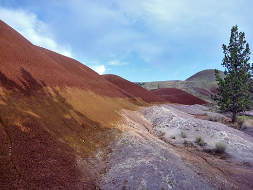 Edge of Painted Cove