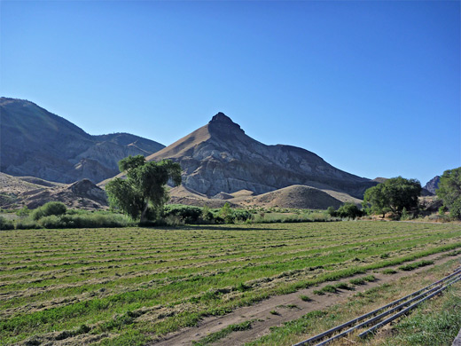 Sheep rock