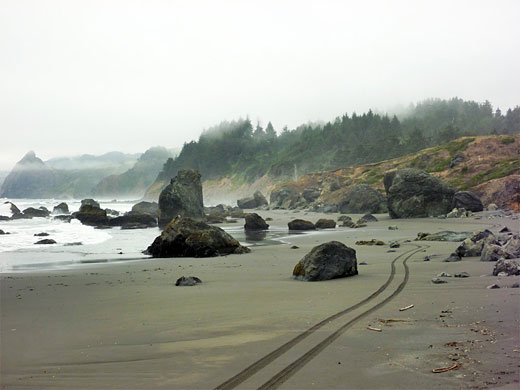 Track on the beach