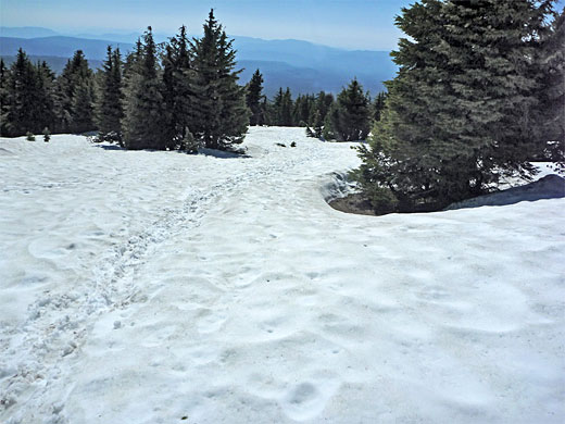 Snow on the path