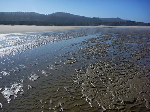 Tidal flats, Oregon Dunes NRA