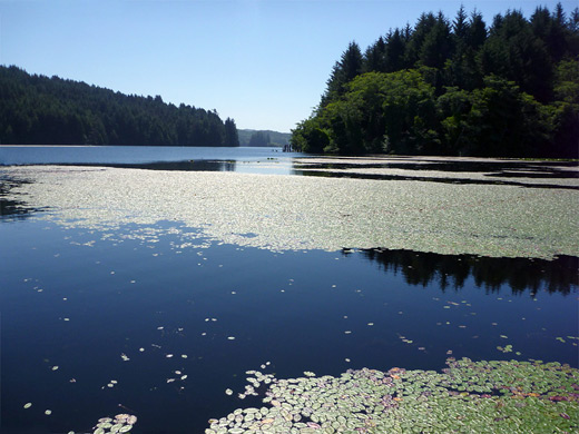 The dark waters of Tahkenitch Lake