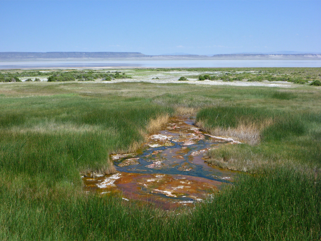 Stream and grassland