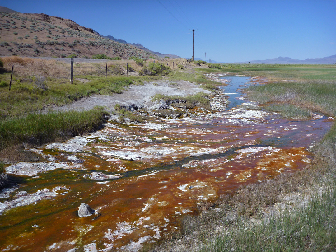 Stream at Alvord Hot Springs