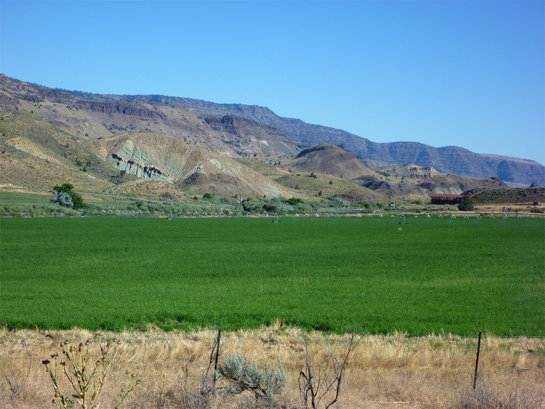 Field near the trailhead