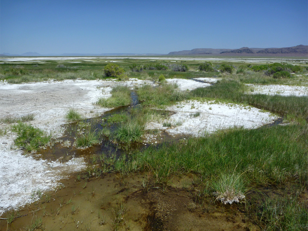 Salt flats