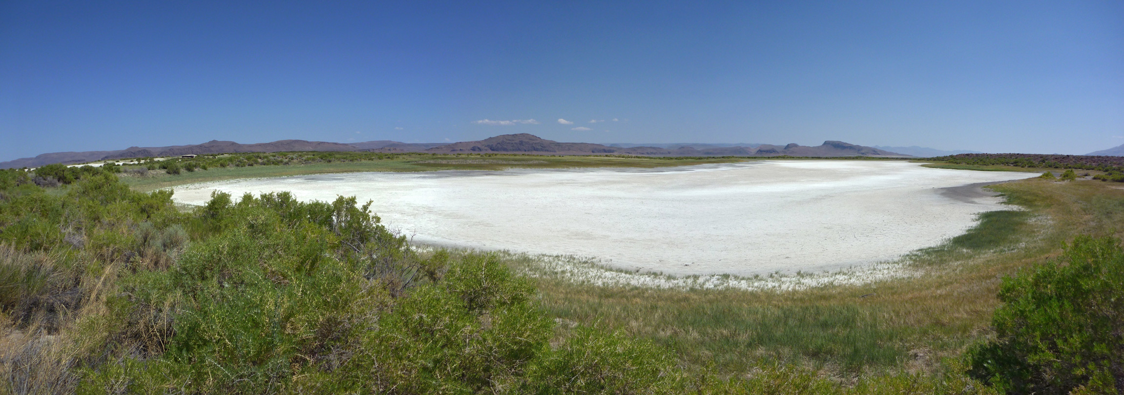 Salt pan near Borax Lake