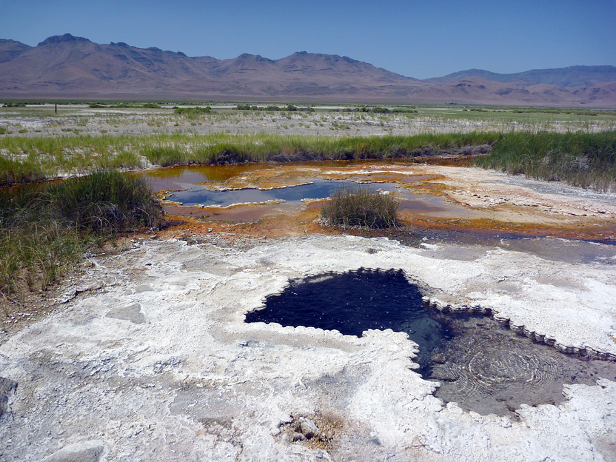 Borax Hot Springs