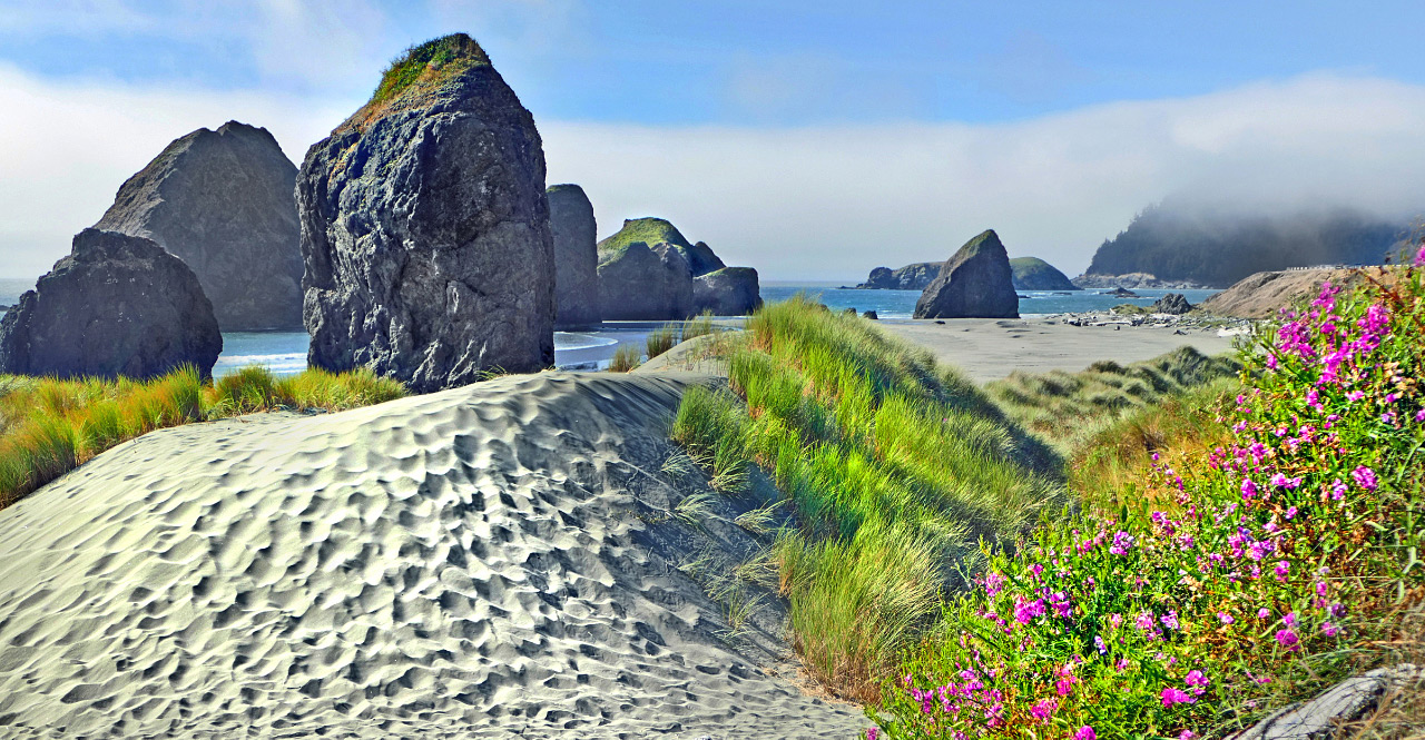 Dunes and rocks