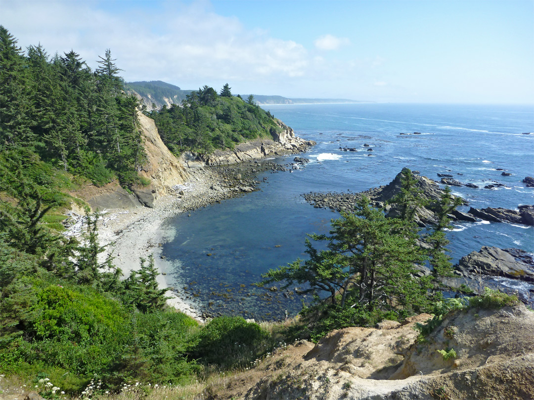 Cape Arago