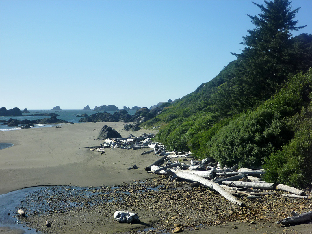 Beach at Chetco Point