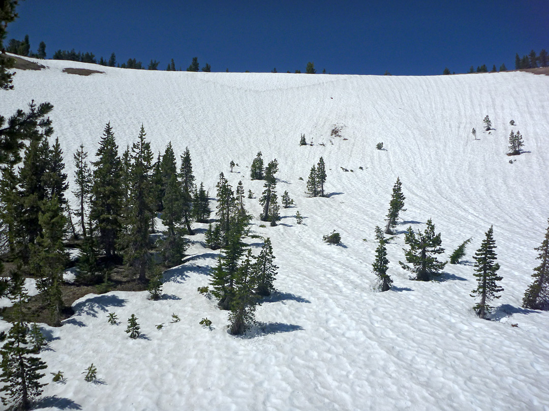 Snowy hillside