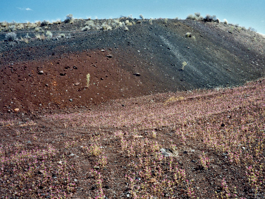 Diamond Craters - ash hill