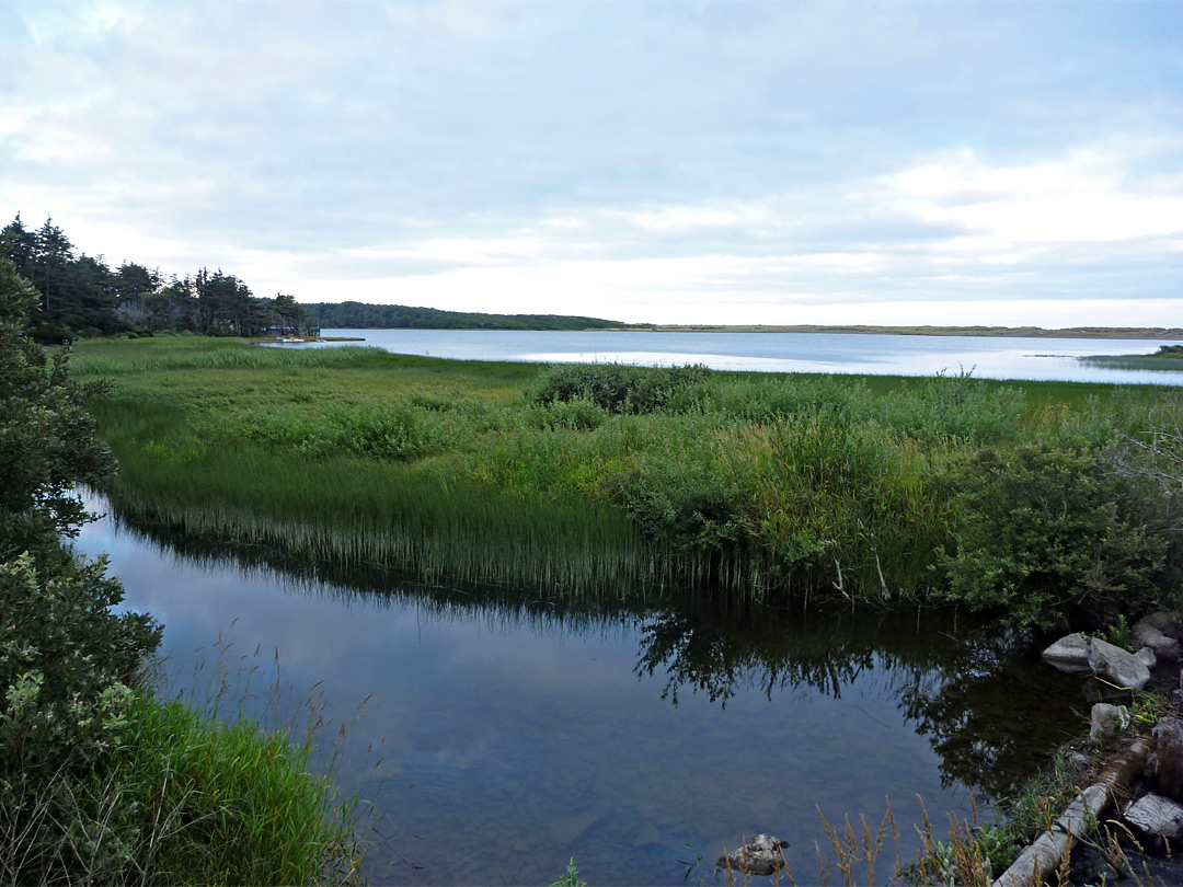 Pool beside Floras Lake