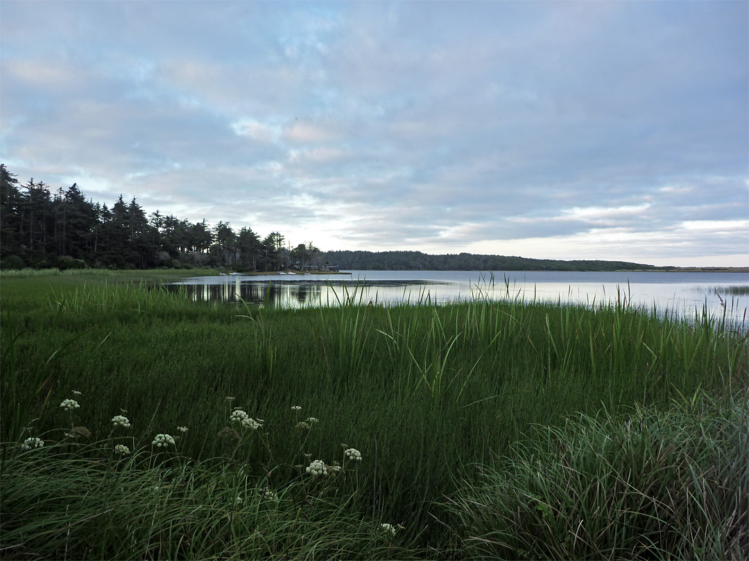 Floras Lake