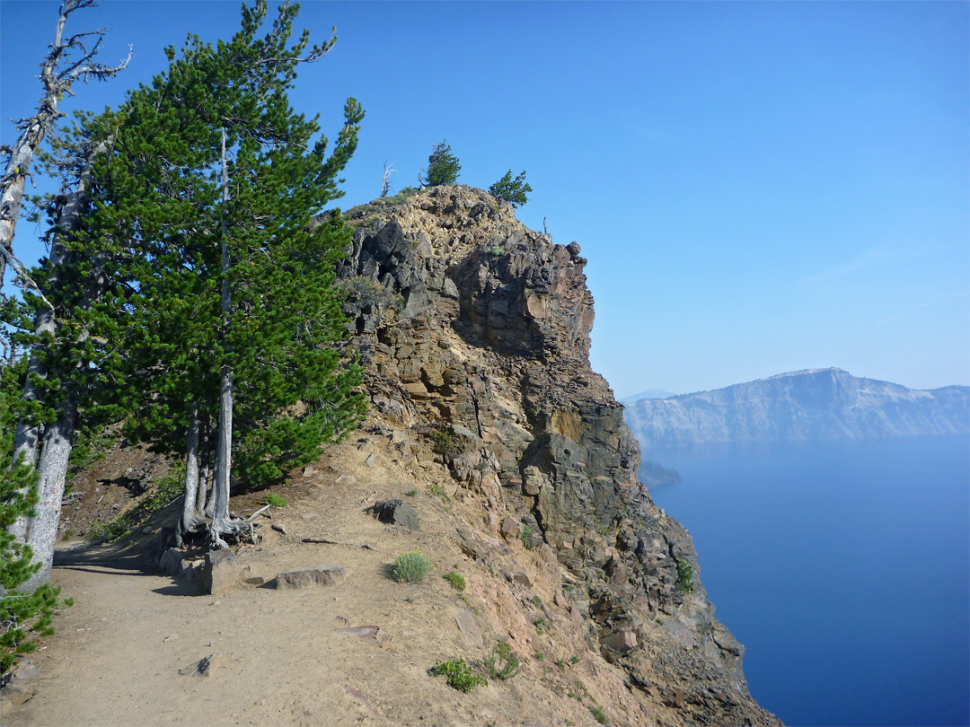 Trees beside a rocky outcrop