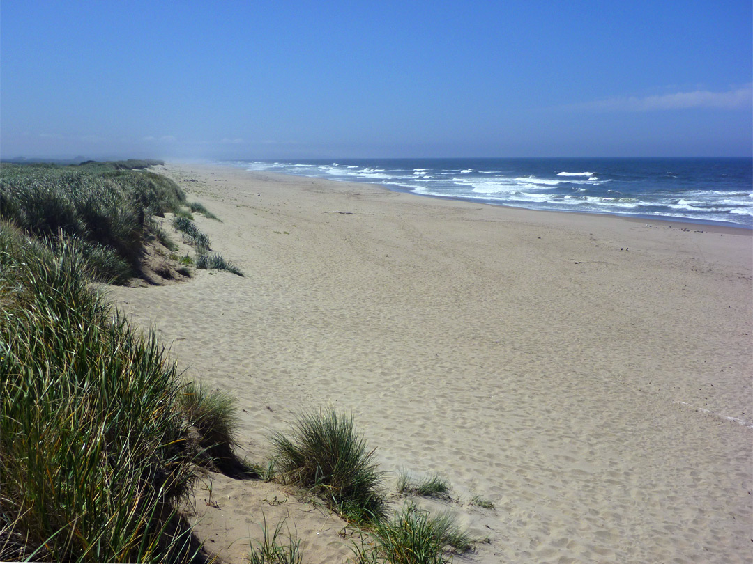 Horsfall Beach