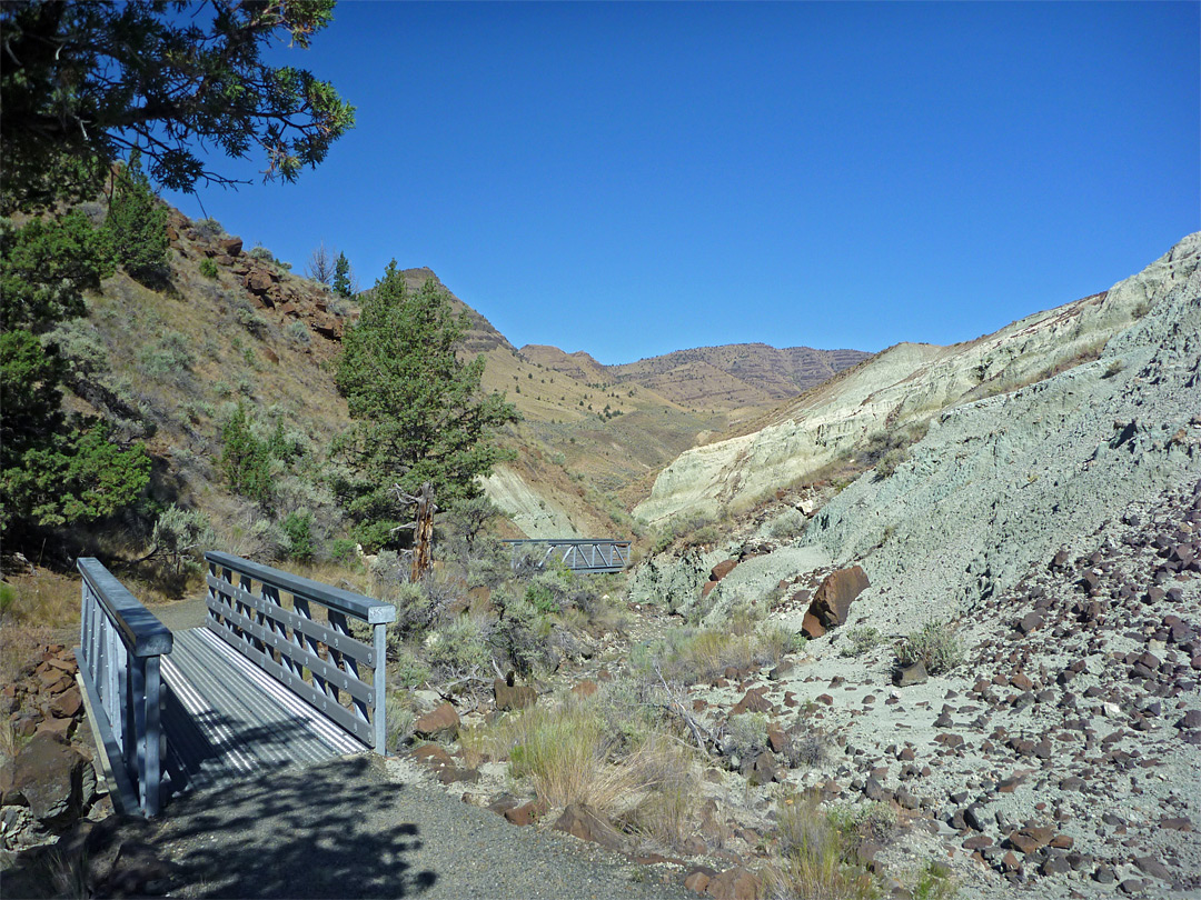 Bridge on the trail