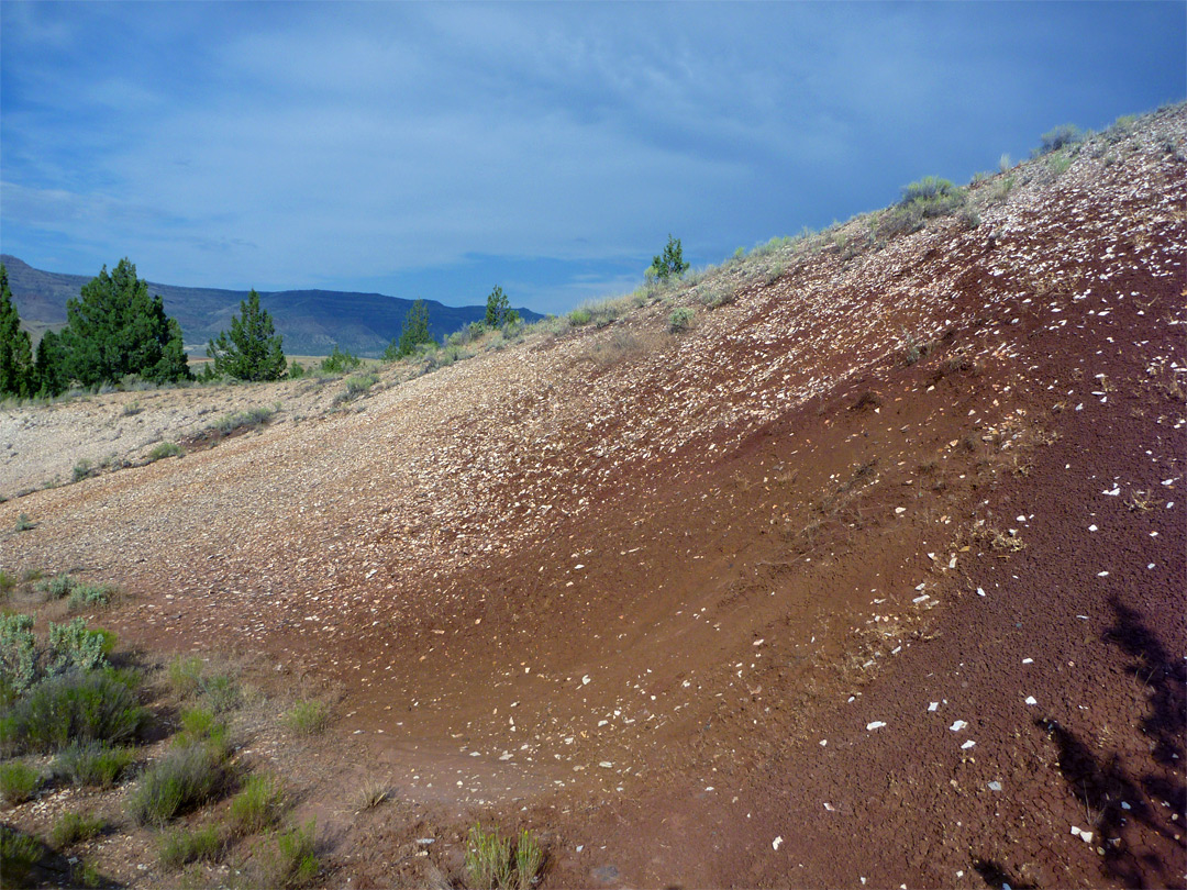 Leaf Hill