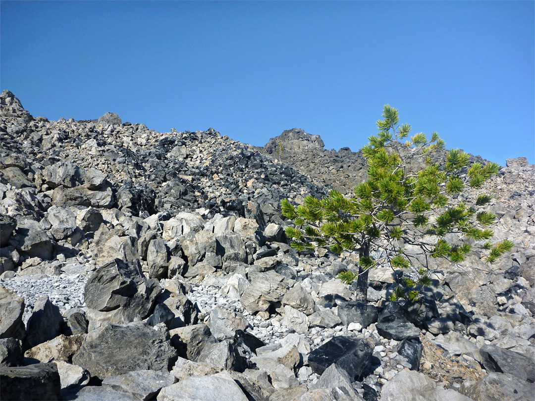 Rhyolite lava