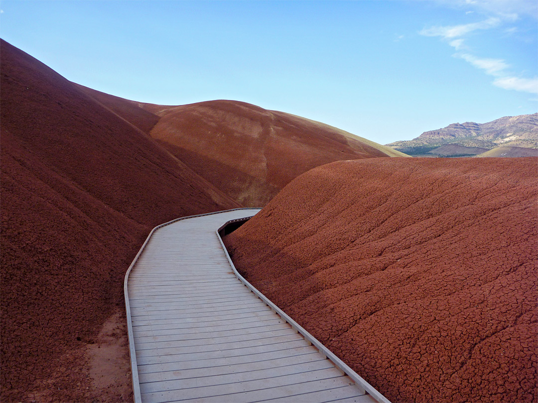 Painted Cove Trail