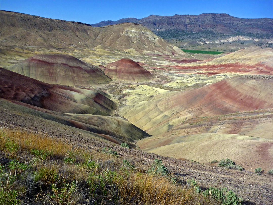 Painted Hills Overlook