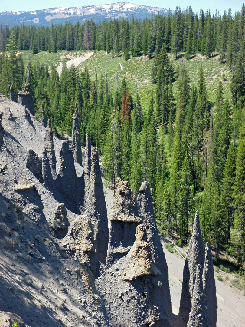 Trees and spires