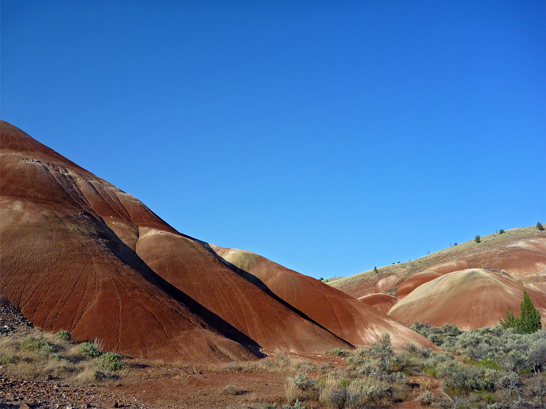 Undulating mounds