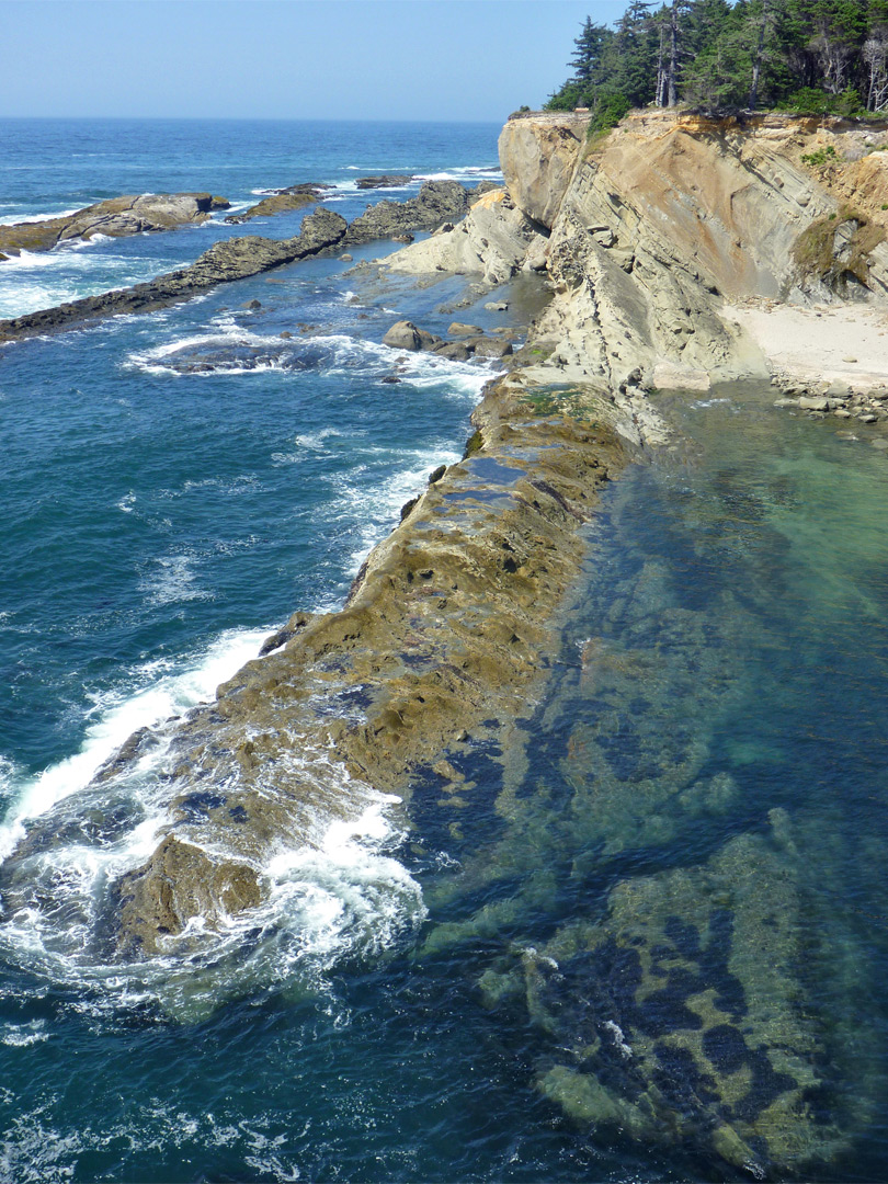 Barnacle-covered reef