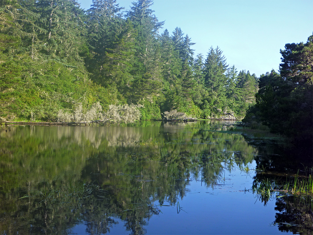 Siltcoos Lagoon