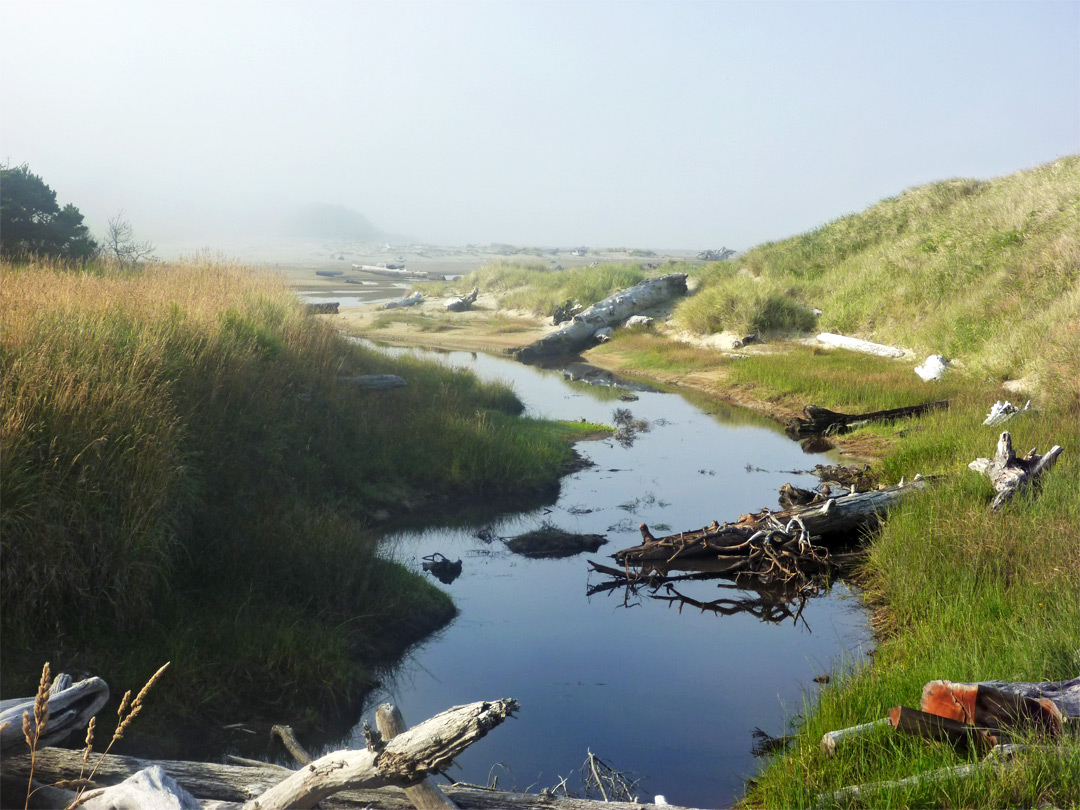 Slough near the Siltcoos River